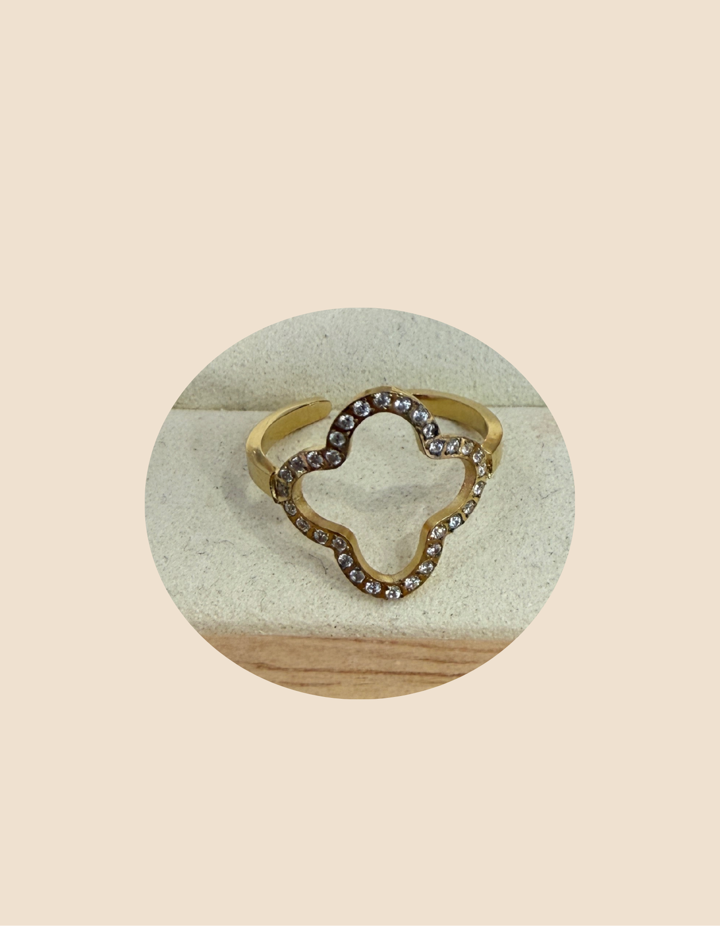 Bague en acier inoxydable (Plusieurs modèles)