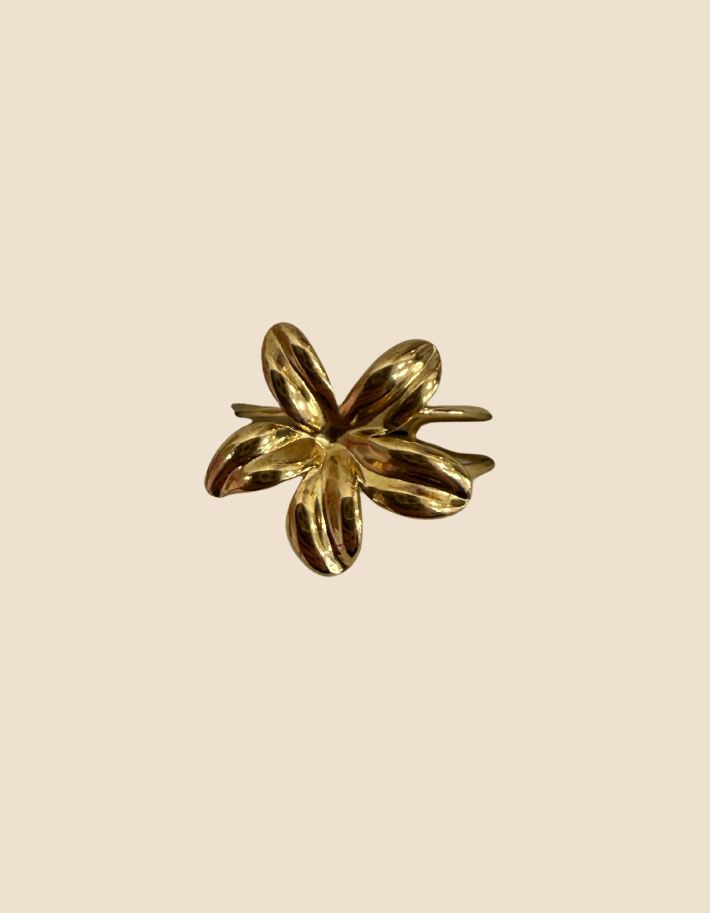 Bague en acier inoxydable (Plusieurs modèles)